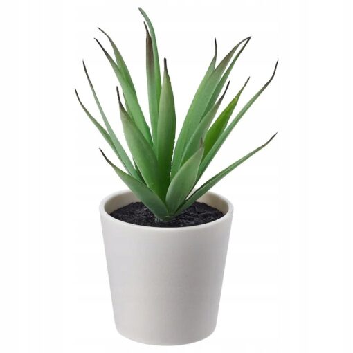 IKEA FEJKA SZTUCZNA ROŚLINA SUKULENT 6 cm