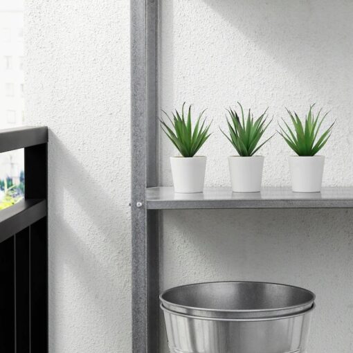 IKEA FEJKA SZTUCZNA ROŚLINA SUKULENT 6 cm - obrazek 4