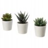 IKEA FEJKA SZTUCZNA ROŚLINA SUKULENT 6 CM - 3 SZT.