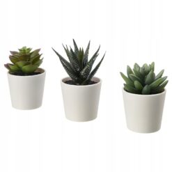 IKEA FEJKA SZTUCZNA ROŚLINA SUKULENT 6 CM - 3 SZT.
