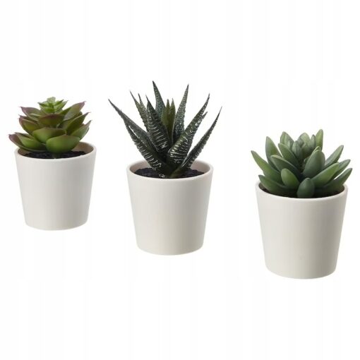 IKEA FEJKA SZTUCZNA ROŚLINA SUKULENT 6 CM - 3 SZT.