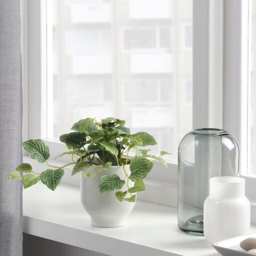 IKEA FEJKA SZTUCZNA ROŚLINA MOZAIKA ZIELONY 9 CM - obrazek 2