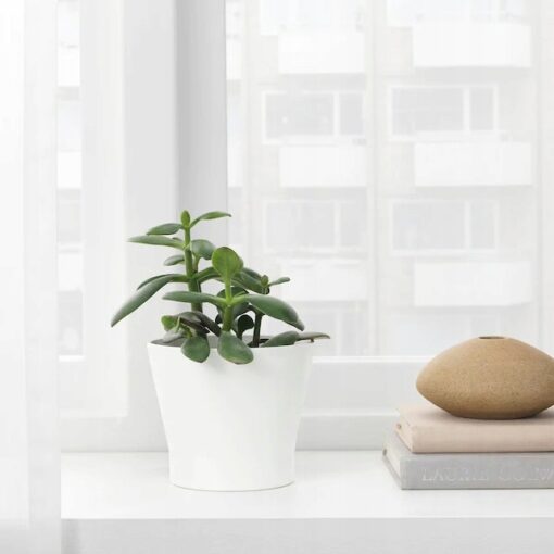 IKEA PAPAJA OSŁONA DONICZKI DONICZKA BIAŁA 9 CM - obrazek 2