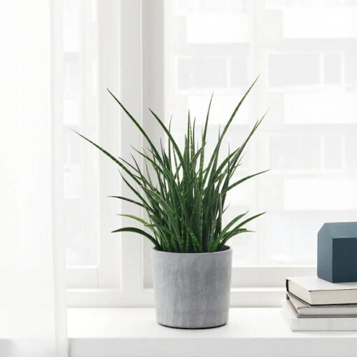 IKEA BOYSENBAR OSŁONA DONICZKI DONICZKA12 CM - obrazek 2