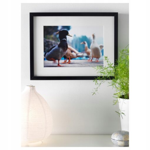 IKEA RIBBA RAMKA NA ZDJĘCIA RAMA 30x40 CM A3 - obrazek 2