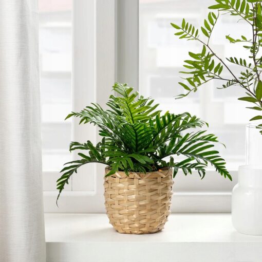 IKEA FEJKA SZTUCZNA ROŚLINA W DONICZCE PAPROTKA 9 cm - obrazek 2