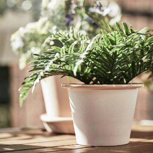 IKEA FEJKA SZTUCZNA ROŚLINA W DONICZCE PAPROTKA 9 cm - obrazek 4