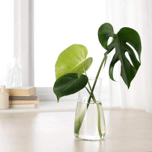 IKEA KARAFF KARAFKA SZKLANA BEZBARWNA 1 L - obrazek 4