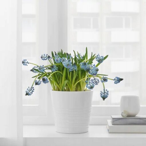 IKEA MUSKOT OSŁONA DONICZKI DONICZKA BIAŁA 12 CM - obrazek 2