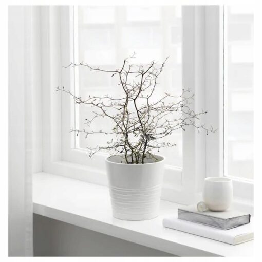 IKEA MUSKOT OSŁONA DONICZKI DONICZKA BIAŁA 12 CM - obrazek 4