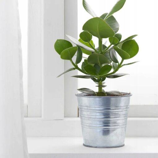 IKEA SOCKER OSŁONA DONICZKI DONICZKA SREBRNA 12 CM - obrazek 2