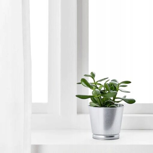 IKEA BINTJE OSŁONA DONICZKI DONICZKA SREBRNA 9 CM - obrazek 2