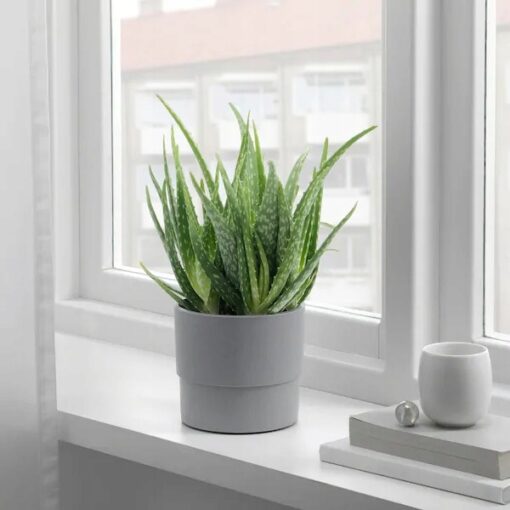 IKEA NYPON OSŁONA DONICZKI DONICZKA SZARA 12 CM - obrazek 2