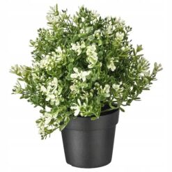 IKEA FEJKA SZTUCZNA ROŚLINA DONICZKOWA TYMIANEK 9 CM