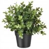 IKEA FEJKA SZTUCZNA ROŚLINA DONICZKOWA OREGANO