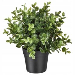 IKEA FEJKA SZTUCZNA ROŚLINA DONICZKOWA OREGANO