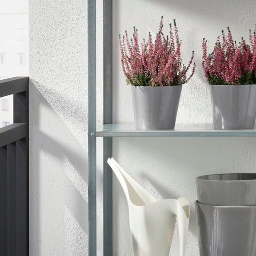 IKEA SKOGSVINBAR OSŁONKA DONICZKI SZARA 12 CM - obrazek 3