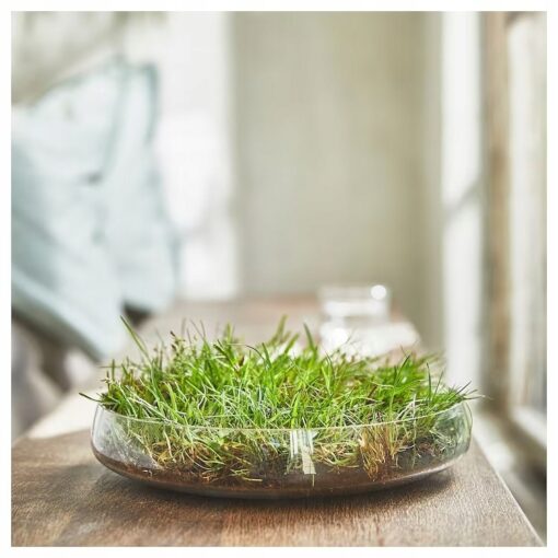 IKEA HEDERSAM POTPOURRI PACHNĄCE ŚWIEŻA TRAWA 90 G - obrazek 4