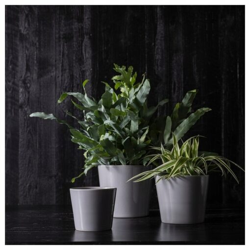 IKEA SKOGSVINBAR OSŁONKA DONICZKI SZARA 9 CM - obrazek 6