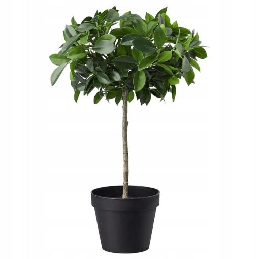 IKEA FEJKA SZTUCZNA ROŚLINA DONICZKOWA FIGA 44 cm