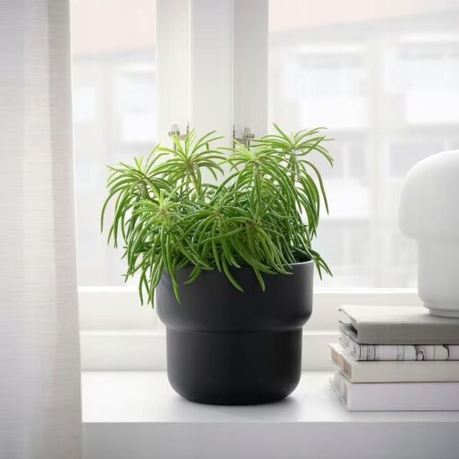 IKEA FORENLIG OSŁONKA DONICZKI CZARNA 12 CM - obrazek 3