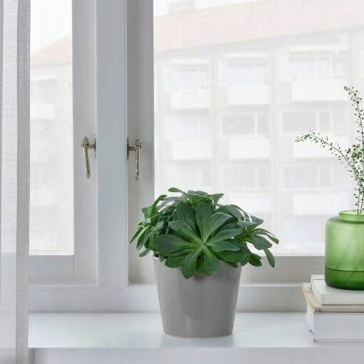 IKEA SKOGSVINBAR OSŁONKA DONICZKI SZARA 9 CM - obrazek 3