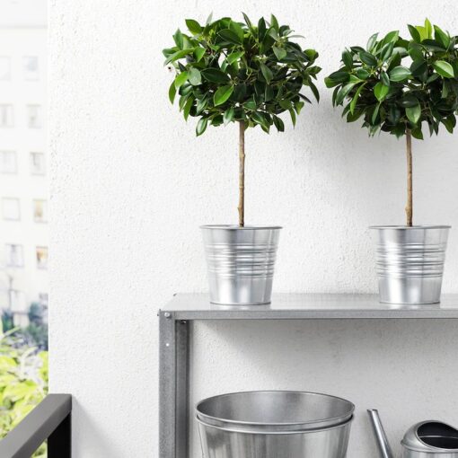 IKEA FEJKA SZTUCZNA ROŚLINA DONICZKOWA FIGA 44 cm - obrazek 3