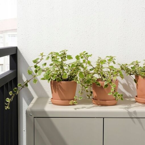 IKEA BRUNBAR DONICZKA Z PODSTAWKĄ Z TERAKOTY 12 CM - obrazek 2