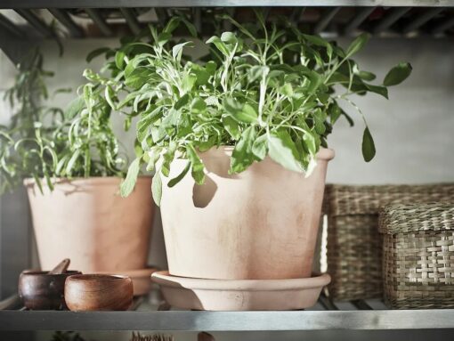 IKEA MUSKOTBLOMMA DONICZKA Z PODSTAWKĄ TERAKOTA 12 CM - obrazek 5