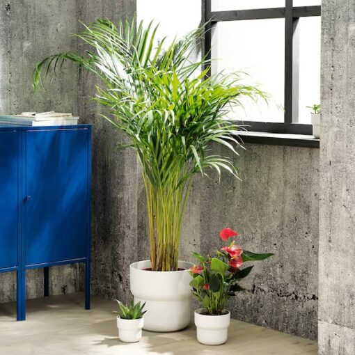 IKEA FORENLIG OSŁONA DONICZKI DONICZKA BIAŁA 12 CM - obrazek 4