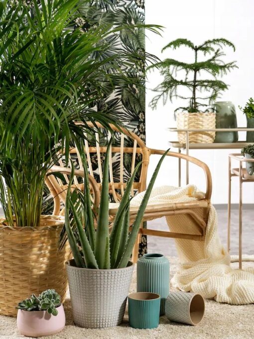 IKEA CHIAFRON OSŁONA DONICZKI DONICZKA BIAŁA 9 CM - obrazek 4