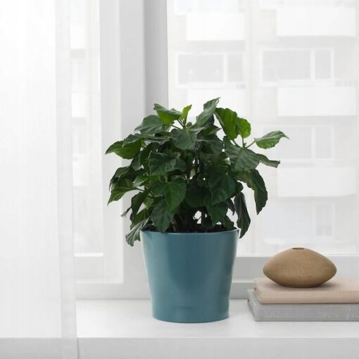 IKEA PAPAJA OSŁONA DONICZKI DONICZKA 12 CM - obrazek 2