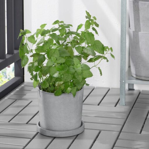 IKEA BOYSENBAR PODSTAWKA DONICY SZARA 18.5 CM - obrazek 2
