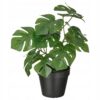 IKEA FEJKA SZTUCZNA ROŚLINA W DONICZCE MONSTERA 12 cm