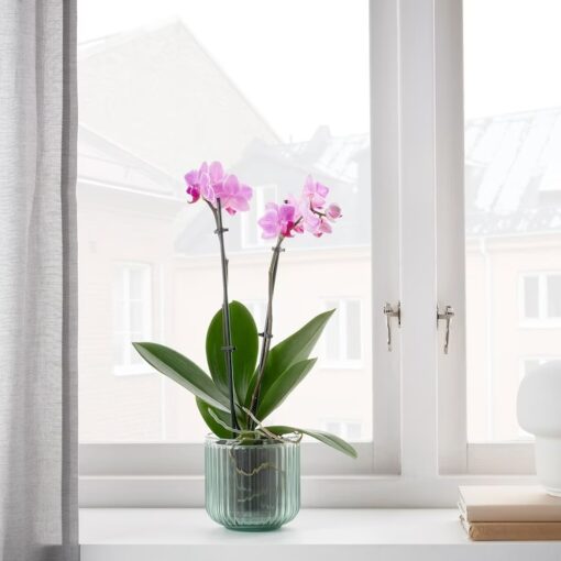 IKEA GRADVIS OSŁONKA DONICZKI ZIELONA 9 CM - obrazek 3