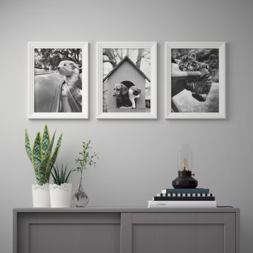 IKEA BILD PLAKAT KOTY I PSY 30x40 CM 3 SZT - obrazek 2