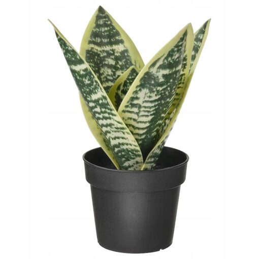 IKEA FEJKA SZTUCZNA ROŚLINA DONICZKOWA SANSEVERIA