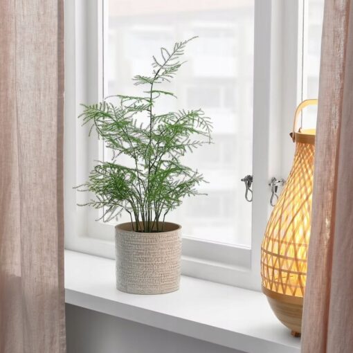 IKEA FEJKA SZTUCZNA ROŚLINA SZPARAG LEKARSKI - obrazek 2