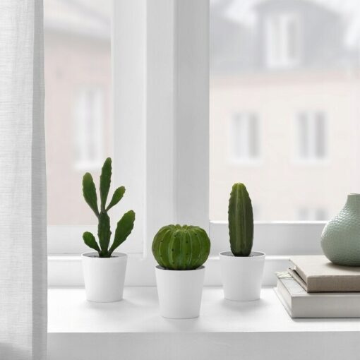 IKEA FEJKA SZTUCZNA ROŚLINA KAKTUS KOMPLET 3 SZT. - obrazek 2