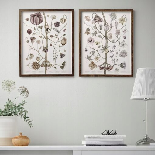 IKEA HOVSTA RAMA Z PLAKATEM KWIATY VINTAGE 2 SZT. - obrazek 2