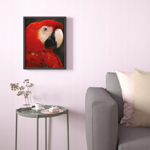 IKEA BILD PLAKAT PAPUGA Z PROFILU 40x50 CM - obrazek 3