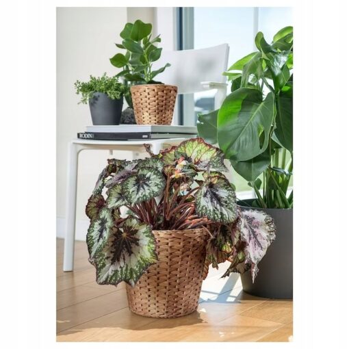 IKEA FRIDFULL OSŁONKA DONICZKI HIACYNT WODNY 24 CM - obrazek 4