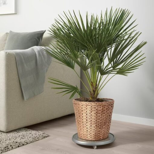 IKEA FRIDFULL OSŁONKA DONICZKI HIACYNT WODNY 24 CM - obrazek 3