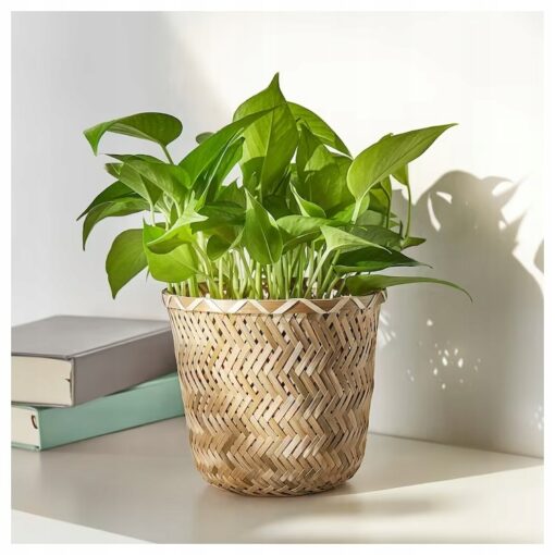 IKEA KLYNNON OSŁONKA DONICZKI BAMBUSOWA 15 CM - obrazek 4