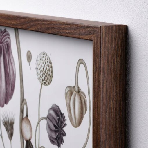 IKEA HOVSTA RAMA Z PLAKATEM KWIATY VINTAGE 2 SZT. - obrazek 3