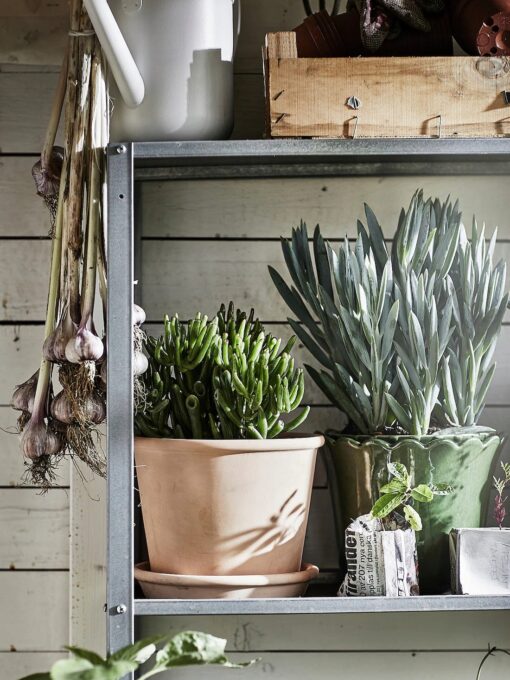 IKEA MUSKOTBLOMMA DONICZKA Z PODSTAWKĄ TERAKOTA 15 CM - obrazek 5