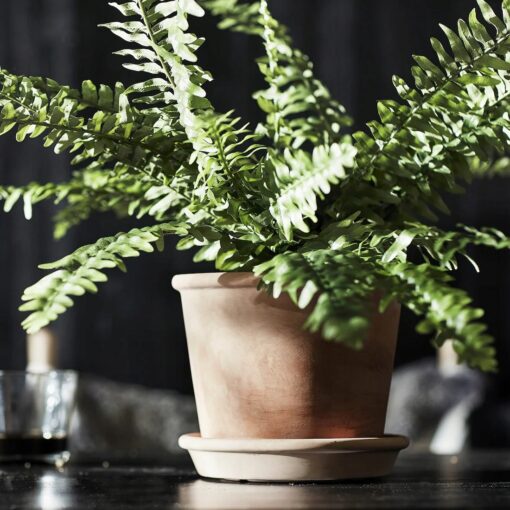 IKEA MUSKOTBLOMMA DONICZKA Z PODSTAWKĄ TERAKOTA 15 CM - obrazek 2