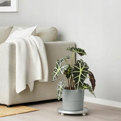 IKEA NYPON OSŁONA DONICZKI DONICA SZARA 19 CM - obrazek 2