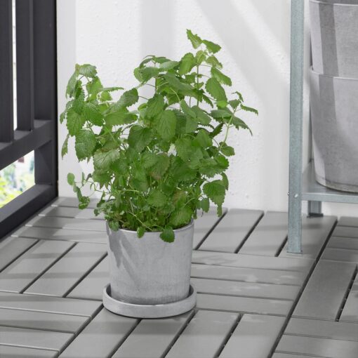 IKEA BOYSENBAR PODSTAWKA DONICY SZARA 15 CM - obrazek 2