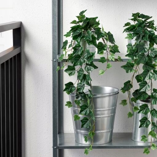 IKEA FEJKA SZTUCZNA ROŚLINA BLUSZCZ WISZĄCY 12 CM - obrazek 3